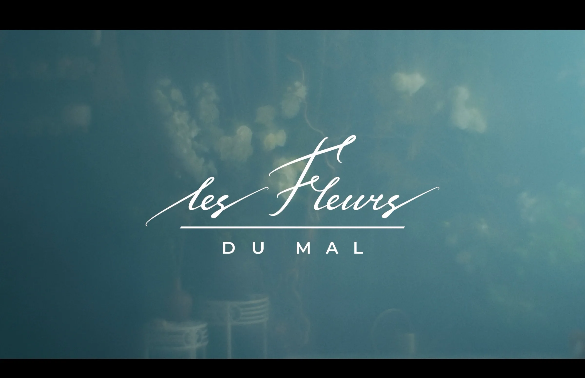 Логотип Les Fleurs du Mal в кадре