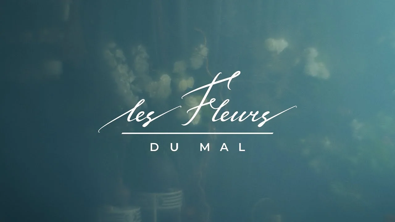 Обложка видео ALCHEMY OF FLOWERS For LES FLEURS DU MAL